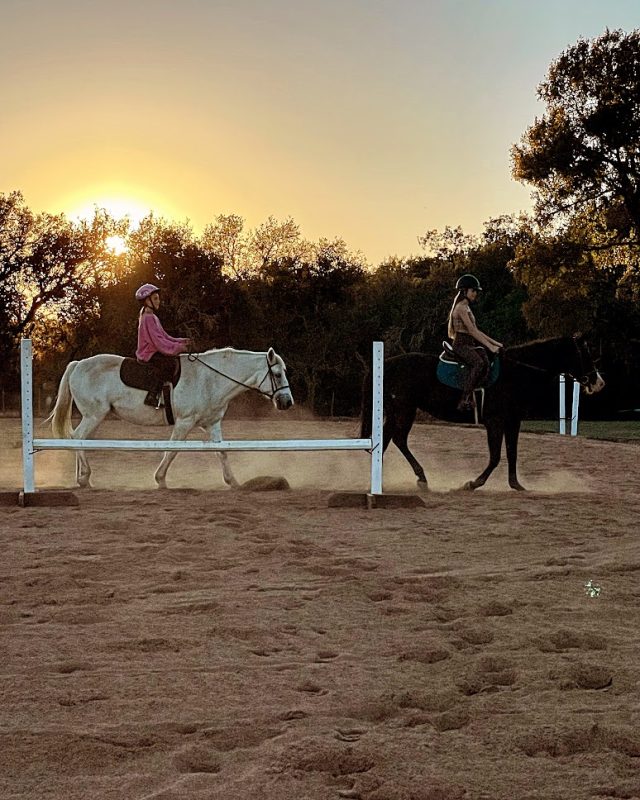 beginner-horse-riding-lessons