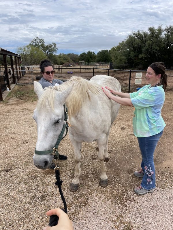 How Equine Assisted Experiences Reduce Sensory Overload in Parents