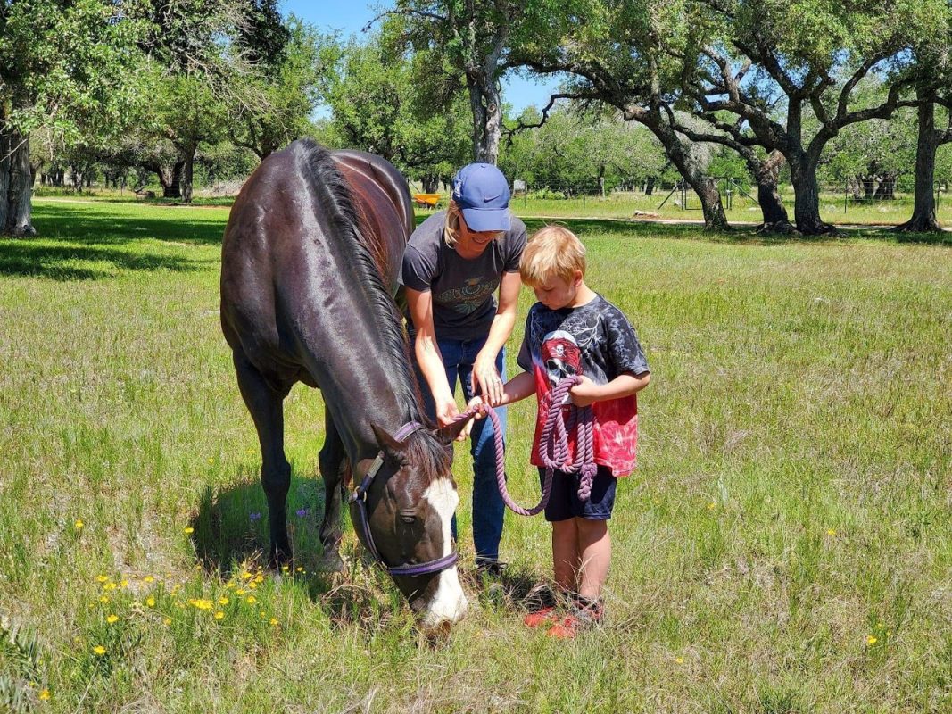 horse-riding-lessons-at-horse-and-bow