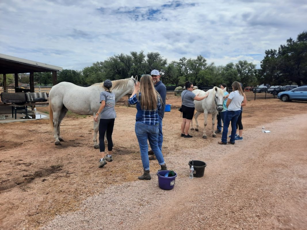 team building activities horse and bow