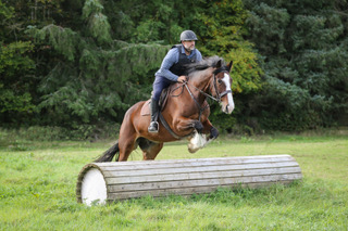 equine facilitator nate