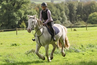 equine facilitator meg