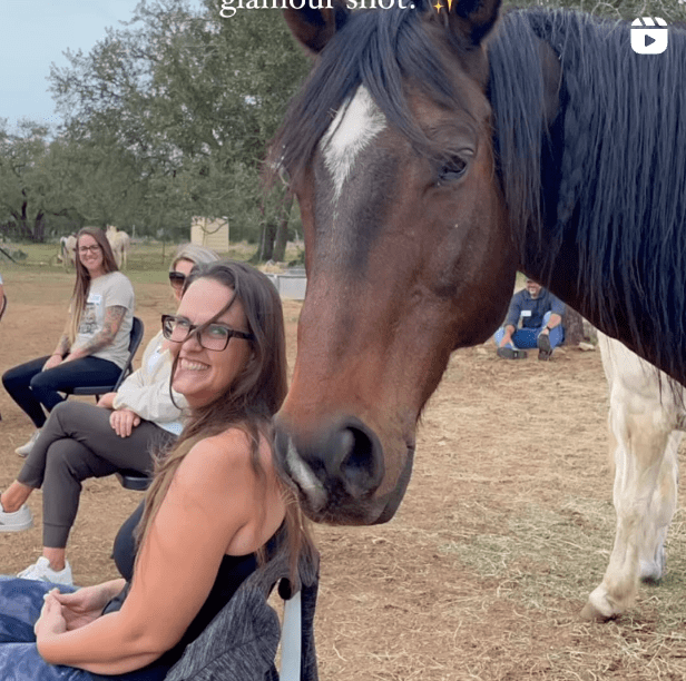 meditation with horses to reduce stress statistics