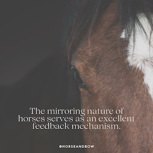 How Horses Provide Feedback in Equine Assisted Activities