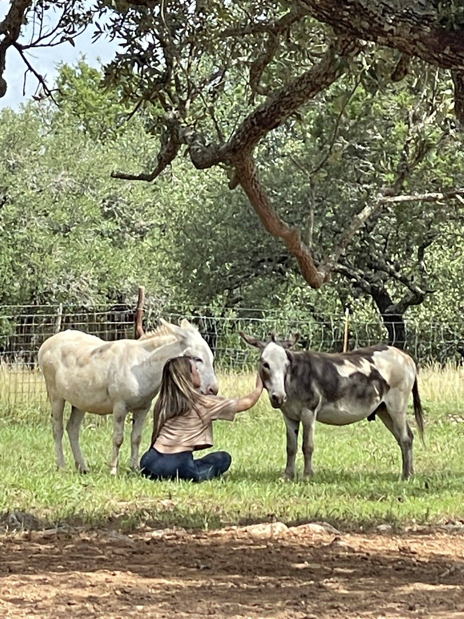 Executive presence training at Horse + Bow