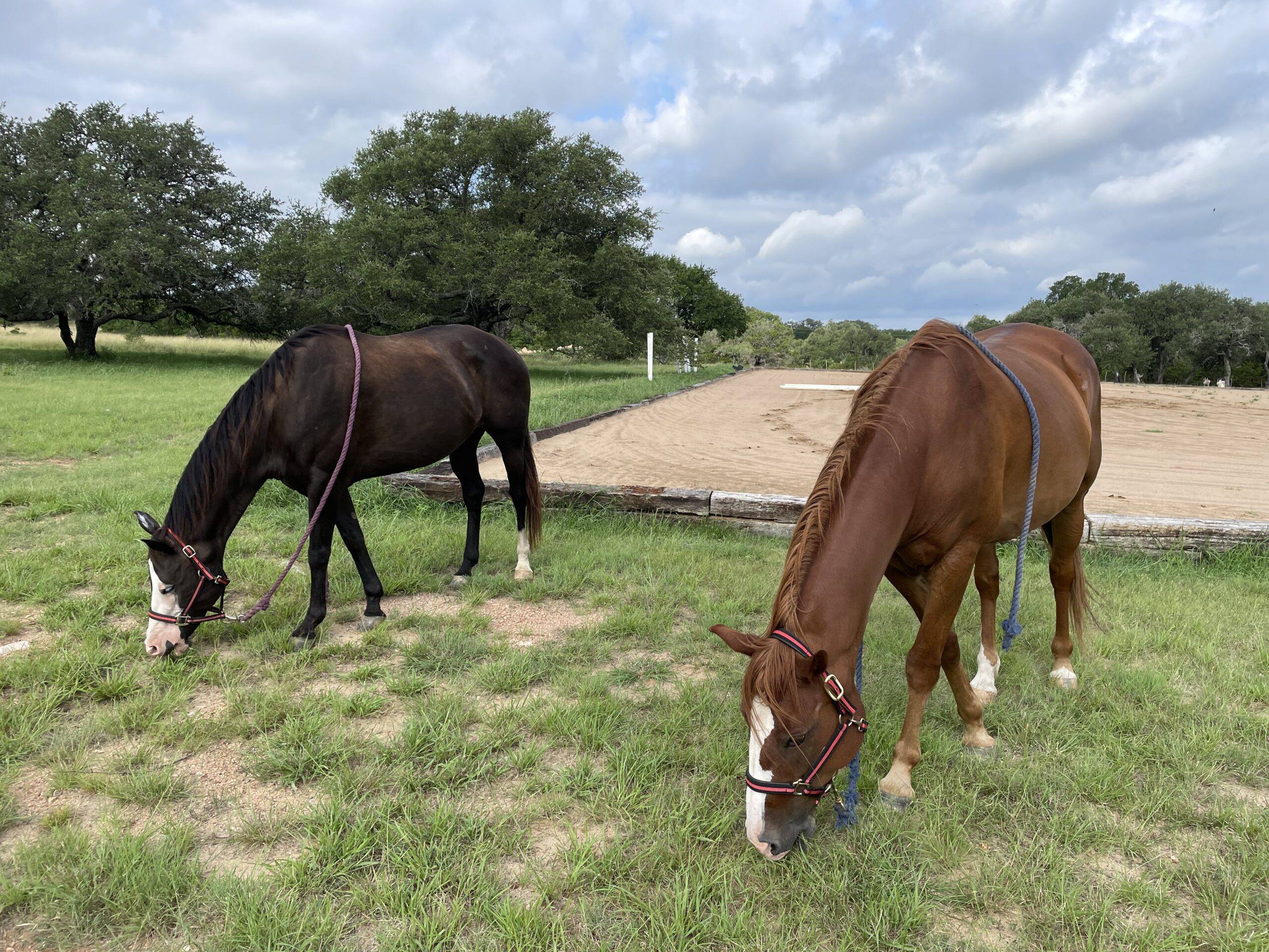 Marble Falls things to do