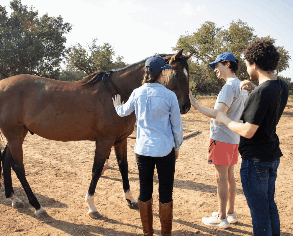 Emerging leaders engaging with horses in Texas Hill Country for leadership development