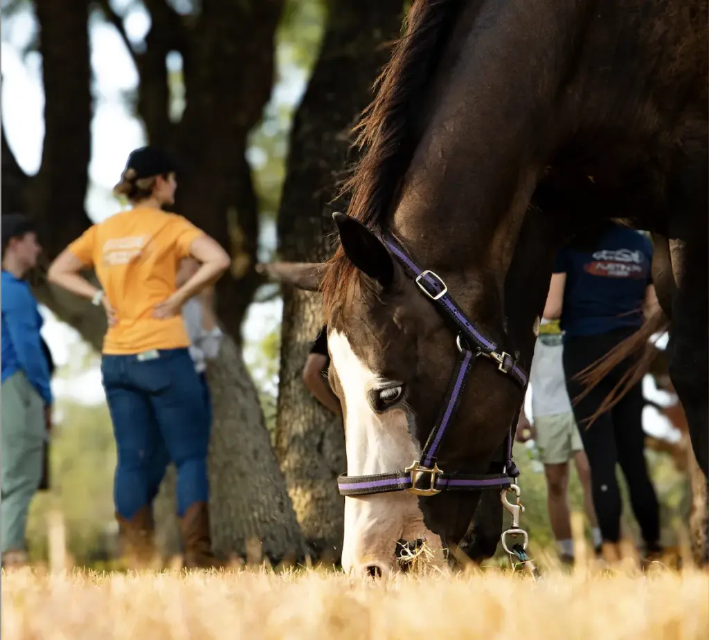 Diverse professionals engaged in a leadership training workshop, showcasing collaboration and career development