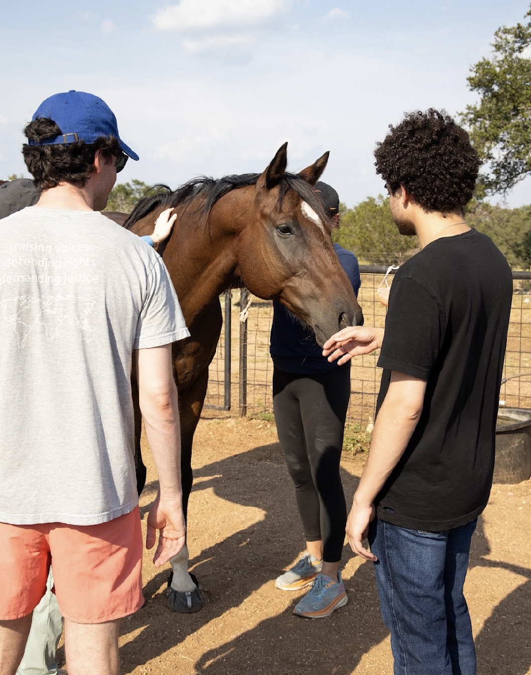 Group interacting with a horse during team building activities in Marble Falls, Texas, highlighting the connection between participants and the horse as part of leadership development programs.