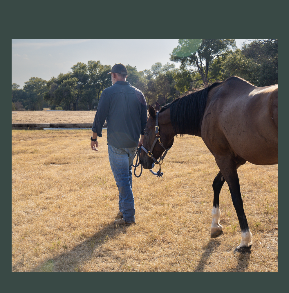Man Walking with a Horse demonstrating the value of personal development work with horses at Horse + Bow in Marble Falls, Texas