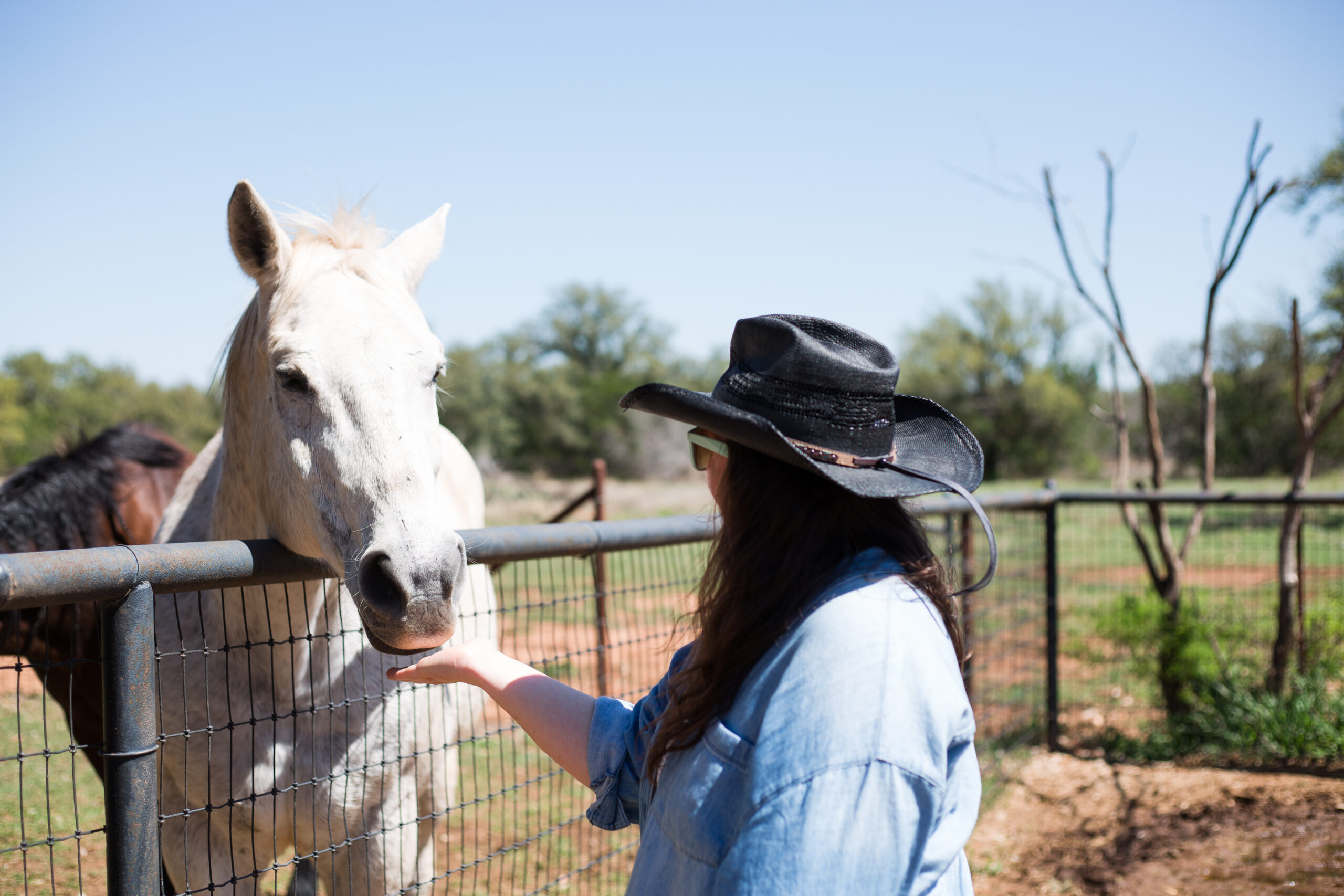 Executive Offsite near Austin